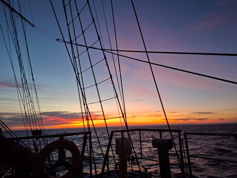 Rejs niepodległości 2025 – „zawisza czarny”